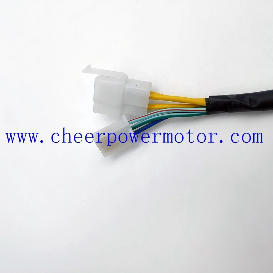Motorcycle Magneto Generator Stator for HONDA TORNADO XR250 (7)