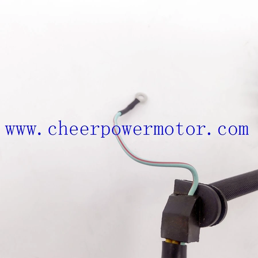 Motorcycle Magneto Generator Stator for HONDA TORNADO XR250 (6)