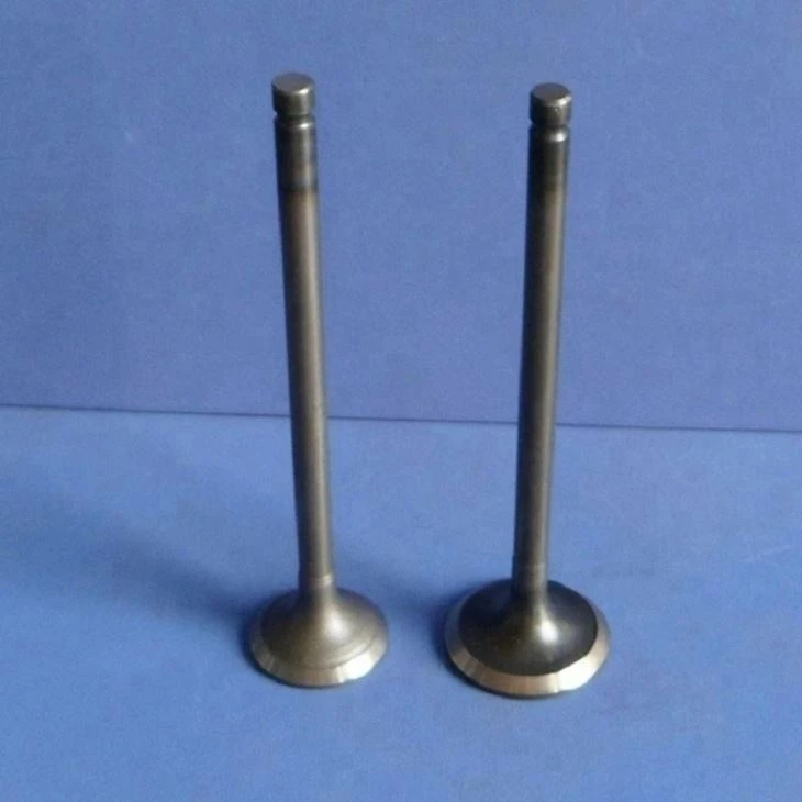 Motorcycle Part Engine Valve for CB110 Honda YAMAHA Suzuki