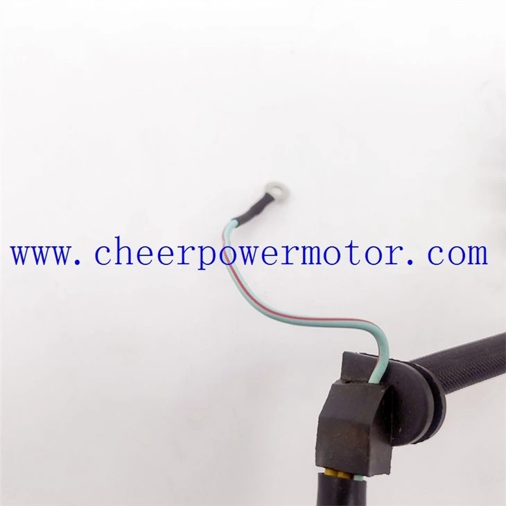 Motorcycle Magneto Generator Stator for HONDA TORNADO XR250 (6)