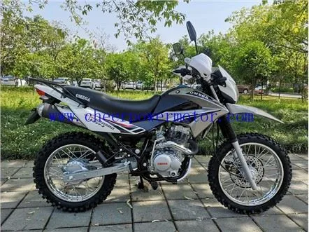 200cc 250cc On Off Road Motorcycle
